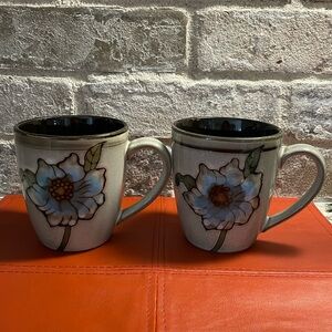 Pfaltzgraff Painted Poppies set of Mugs
